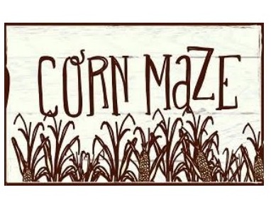 Corn Maze Corn Maze